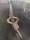 Tanque encamisado em a�o inox com aquecimento a resist�ncias 1800 litros